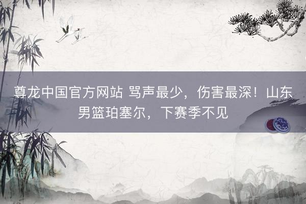 尊龙中国官方网站 骂声最少,伤害最深!山东男篮珀塞尔,下赛季不见