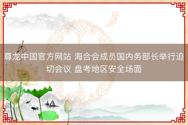 尊龙中国官方网站 海合会成员国内务部长举行迫切会议 盘考地区安全场面