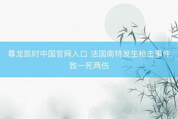 尊龙凯时中国官网入口 法国南特发生枪击事件致一死两伤