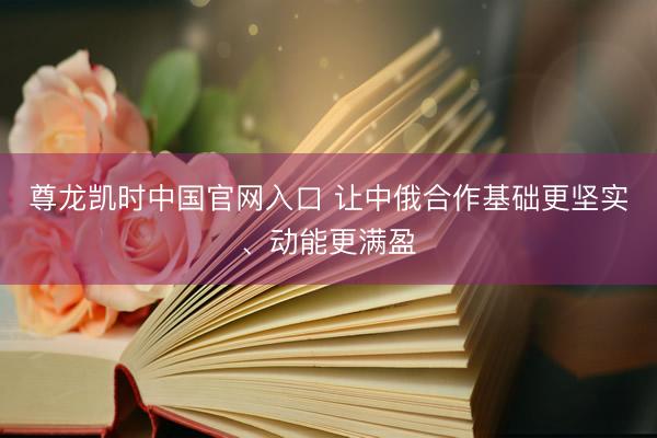 尊龙凯时中国官网入口 让中俄合作基础更坚实、动能更满盈