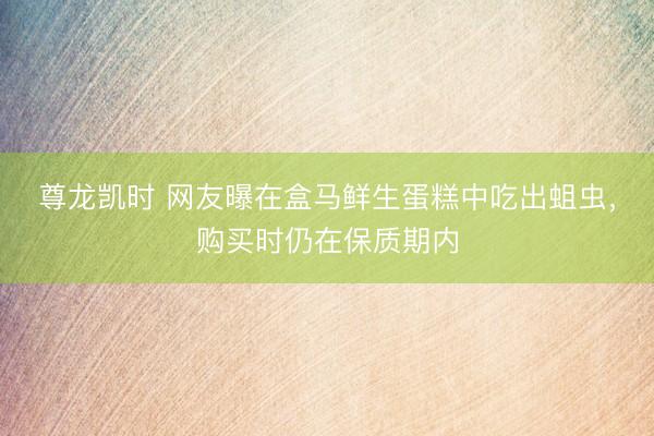 尊龙凯时 网友曝在盒马鲜生蛋糕中吃出蛆虫，购买时仍在保质期内