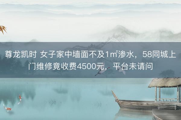 尊龙凯时 女子家中墙面不及1㎡渗水，58同城上门维修竟收费4500元，平台未请问