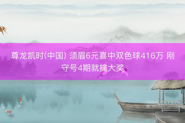 尊龙凯时(中国) 须眉6元喜中双色球416万 刚守号4期就擒大奖