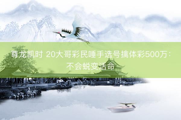 尊龙凯时 20大哥彩民唾手选号擒体彩500万：不会蜕变活命