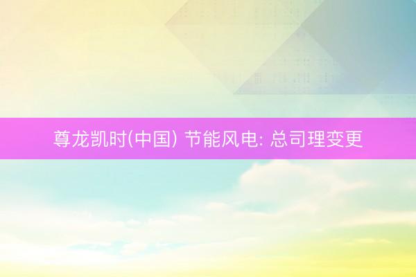 尊龙凯时(中国) 节能风电: 总司理变更