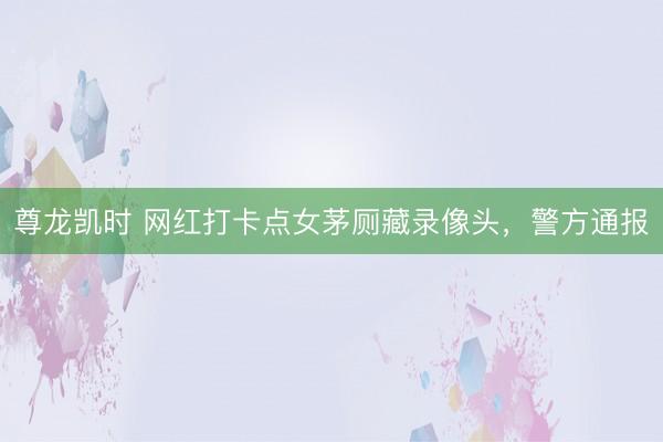 尊龙凯时 网红打卡点女茅厕藏录像头，警方通报