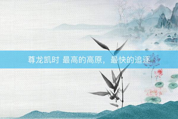 尊龙凯时 最高的高原，最快的追逐