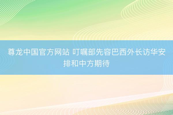 尊龙中国官方网站 叮嘱部先容巴西外长访华安排和中方期待