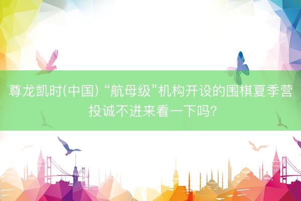 尊龙凯时(中国) “航母级”机构开设的围棋夏季营 投诚不进来看一下吗？