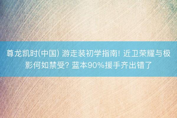 尊龙凯时(中国) 游走装初学指南! 近卫荣耀与极影何如禁受? 蓝本90%援手齐出错了