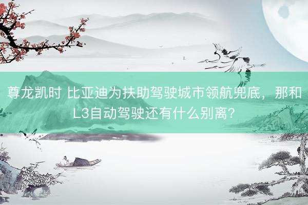尊龙凯时 比亚迪为扶助驾驶城市领航兜底，那和L3自动驾驶还有什么别离？