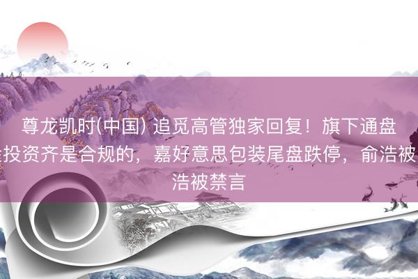 尊龙凯时(中国) 追觅高管独家回复！旗下通盘基金投资齐是合规的，嘉好意思包装尾盘跌停，俞浩被禁言