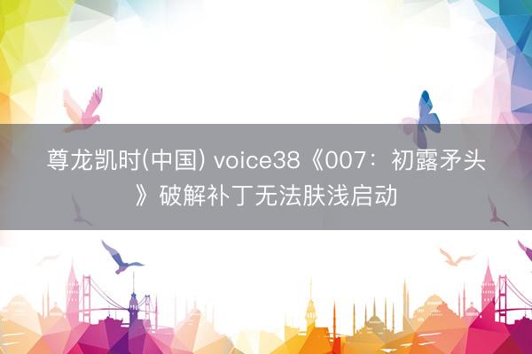 尊龙凯时(中国) voice38《007:初露矛头》破解补丁无法肤浅启动
