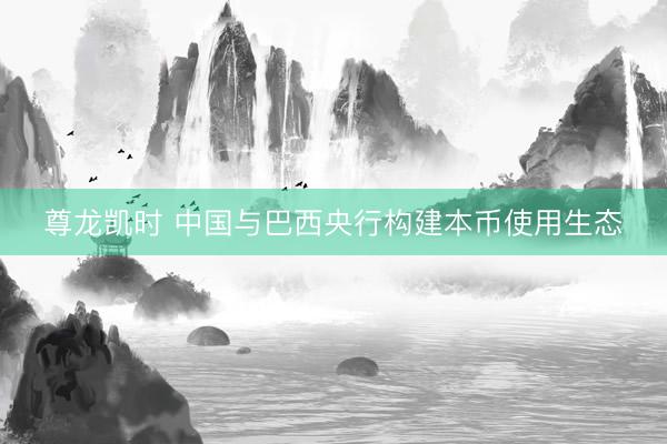 尊龙凯时 中国与巴西央行构建本币使用生态