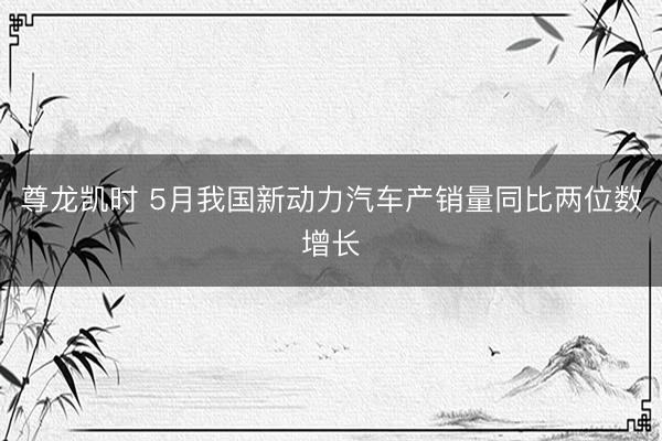 尊龙凯时 5月我国新动力汽车产销量同比两位数增长