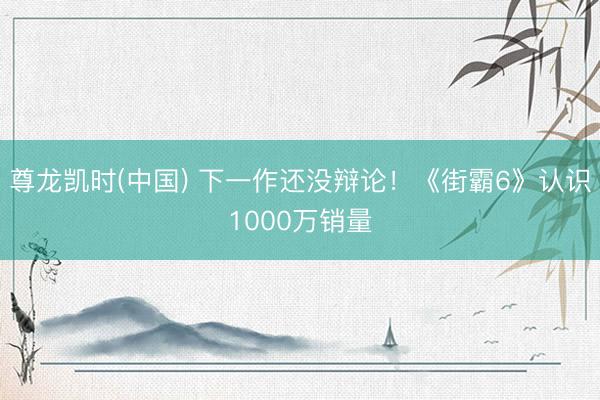 尊龙凯时(中国) 下一作还没辩论！《街霸6》认识1000万销量