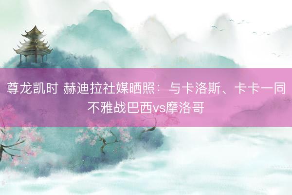 尊龙凯时 赫迪拉社媒晒照:与卡洛斯、卡卡一同不雅战巴西vs摩洛哥