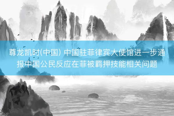 尊龙凯时(中国) 中国驻菲律宾大使馆进一步通报中国公民反应在菲被羁押技能相关问题