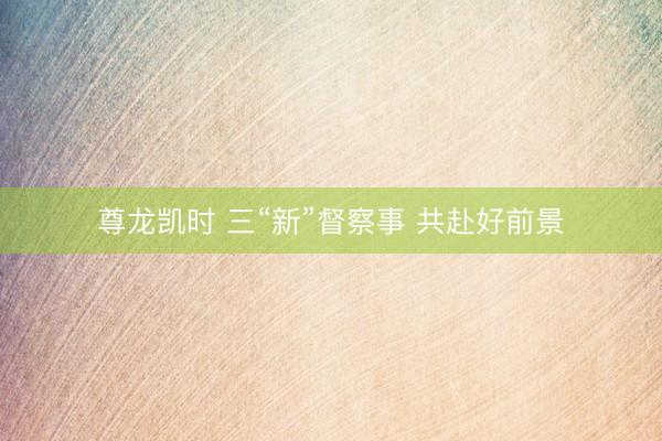 尊龙凯时 三“新”督察事 共赴好前景