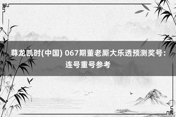 尊龙凯时(中国) 067期董老厮大乐透预测奖号：连号重号参考